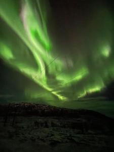 un groupe de feux verts dans le ciel dans l'établissement Leilighet med god utsikt, à Tromsø