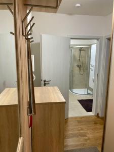 ein Bad mit einem Waschbecken und einer Dusche in einem Zimmer in der Unterkunft Apartmán Astra in Sezimovo Ústí