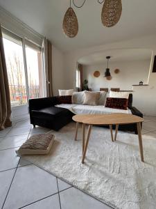 ein Wohnzimmer mit einem Sofa und einem Couchtisch in der Unterkunft LA BELLE ESCALE in Belfort