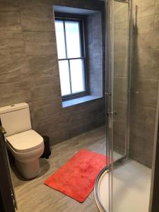 a bathroom with a toilet and a shower with a window at Maisonette flat Aberystwyth in Aberystwyth +12 photos