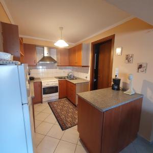a kitchen with wooden cabinets and a white refrigerator at Xrisa's house in Kavala