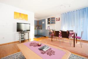 Μια τηλεόραση ή/και κέντρο ψυχαγωγίας στο Deluxe Trsje Apartments