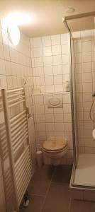 a small bathroom with a toilet and a shower at Altmühle in Altlengbach