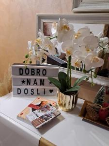 Kép Apartman Lenka Zlatar szállásáról Nova Varošban a galériában
