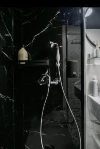 een douche in een badkamer met een zwarte muur bij Suite Firenza in Lyon