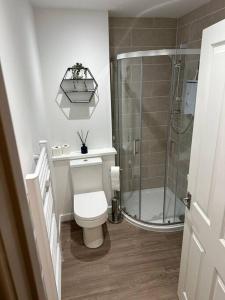 a bathroom with a toilet and a shower at Riverview Apartment, Inverness in Inverness