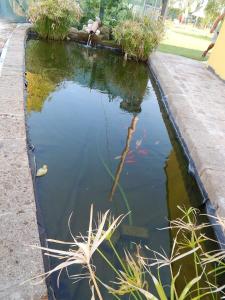 Taglio di PoB&B Corte Bolandina的相册照片