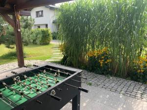 Na Skraju Puszczy外面的花园