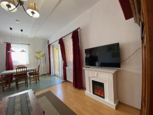 sala de estar con chimenea y TV de pantalla plana en Villa Elisa, en Vonyarcvashegy