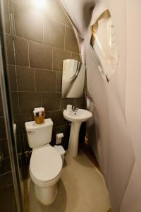 a small bathroom with a toilet and a sink at Hotel Don Bululo Camping Lodge in Punta Rucia