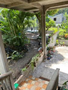 an outdoor patio with a bench and plants at Charmante maison in Deshaies +4 photos