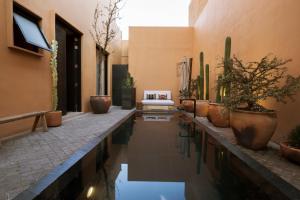 a hallway with a pool of water with potted plants at Macondo Arte Oaxaca in Oaxaca City