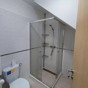 y baño con ducha de cristal y aseo. en Super Family/Office Apartment in Budaörs, en Budaörs