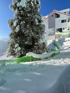 Yarrows, Narkanda, A boutique stay v zime