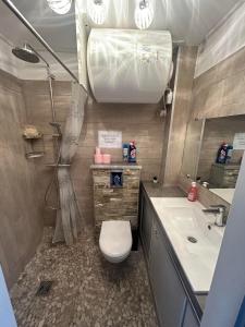 La petite salle de bains est pourvue de toilettes et d'un lavabo. dans l'établissement Studio cosy climatisé vue sur port, au Cap d'Agde
