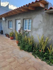 uma casa com vasos de plantas em frente em Eterna Primavera Fayna em Granadilla de Abona