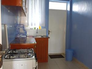 uma cozinha com um fogão, um lavatório e uma janela em J's Nest em Kericho