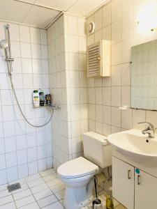 y baño con aseo y lavamanos. en Scandinavian Apartment Hotel - Tobaksgården Budget - 2 room apartment, en Horsens
