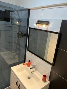 uma casa de banho com um lavatório, um chuveiro e um espelho. em Republique Lounge em Fort-de-France