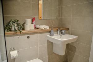 曼徹斯特的住宿－1 bedroom Flat in Manchester，一间带水槽、卫生间和镜子的浴室