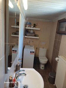 a bathroom with a sink and a toilet and a mirror at Panthea Residence in Theológos