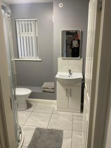 a bathroom with a sink and a toilet and a mirror at Park Avenue Apartment in Newcastle