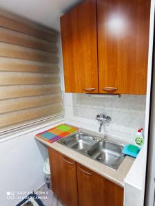 uma pequena cozinha com um lavatório e armários de madeira em Apartman Viktor Sarajevo em Sarajevo