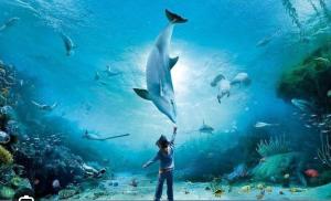a person standing in front of an aquarium with fish at CA TEA in Lavagna
