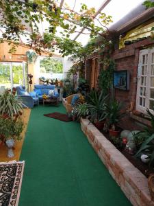 Gittis Condo في كابلن: غرفة معيشة مع سجادة خضراء