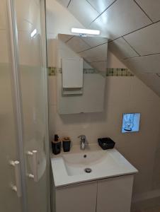 W łazience znajduje się umywalka i lustro. w obiekcie Appartements avec terrasse proche métro - Paris à 25min w mieście Créteil