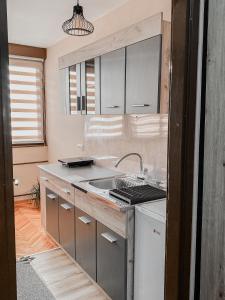 Kuchyň nebo kuchyňský kout v ubytování Manila Apartment Kragujevac