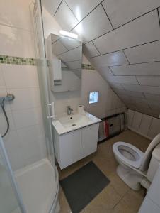 uma casa de banho com um WC, um lavatório e um chuveiro em Appartements avec terrasse proche métro - Paris à 25min em Créteil
