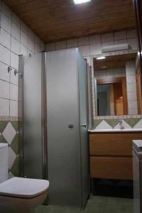 a bathroom with a shower and a toilet and a mirror at Amalur Irati in Ezcároz