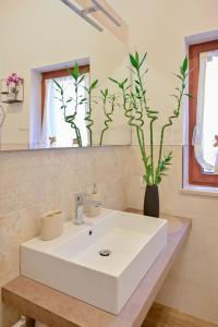 een badkamer met een witte wastafel en een vaas met een plant bij La Casa nel Vicolo in Colle di Val d'Elsa