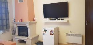 Una sala de estar con chimenea y TV de pantalla plana. en Апартамент Pamporovo Palace, en Pamporovo