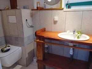 La salle de bains est pourvue d'un lavabo et de toilettes. dans l'établissement Aichi lodges gîtes, à Capesterre