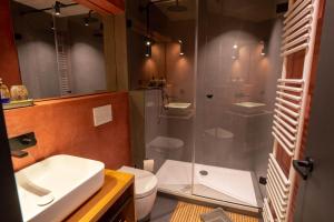 W łazience znajduje się prysznic, umywalka i toaleta. w obiekcie Gästehaus Liebfrauen w mieście Wernigerode