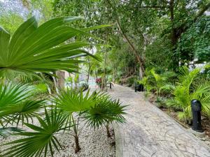 un jardín con palmeras y una pasarela en Departamento Esperanza, en Cancún