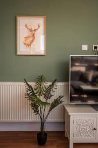 a living room with a potted plant and a tv at Newley Decorated Central Maidstone Flat, Sleeps 4 in Maidstone