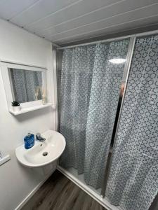 een badkamer met een douche en een wastafel bij Haven - Beautiful 3 Bedroom house in Ballynahinch