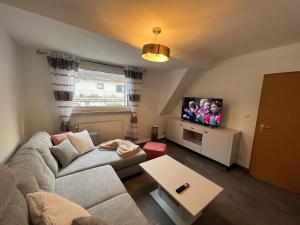 ein Wohnzimmer mit Couch und Flachbildfernseher in der Unterkunft Ferienhaus am Bach Koblenz in Koblenz