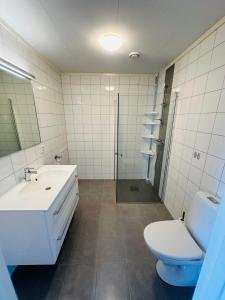 a bathroom with a sink and a toilet and a shower at Nydelig perle ved Tyrifjorden 