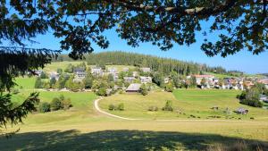 a small town on a hill with houses at FeWo Gretel in Schönwald