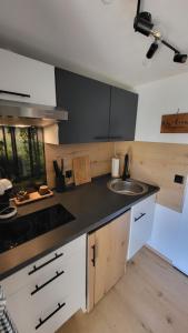 a kitchen with a sink and a counter top at FeWo Gretel in Schönwald