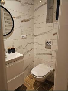 a bathroom with a white toilet and a sink at Pokoje przy Parkowej in Zwierzyniec