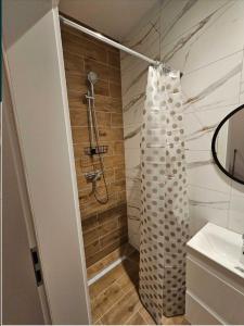 a bathroom with a shower and a sink at Pokoje przy Parkowej in Zwierzyniec