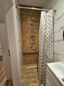 a bathroom with a shower with a shower curtain at Pokoje przy Parkowej in Zwierzyniec