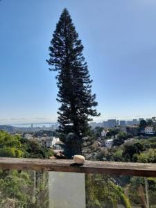 Naturlandskabet i nærheden af lejligheden