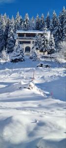Villa Kostic Kopaonik im Winter