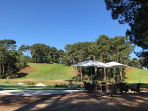 ラカノーにあるAgréable maison entre lac et océan à Lacanauのゴルフコースにあるテーブルと椅子、そしてパラソル